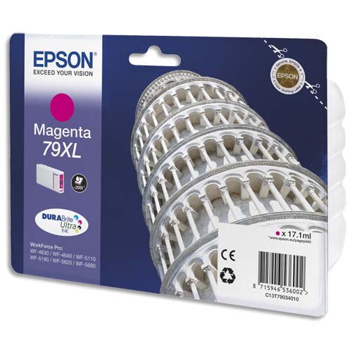 Epson Cartouches Jet d'encre C13T79034010