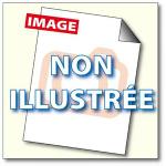 Epson Cartouches Jet d'encre C13T33444012